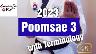 Taekwondo Poomsae 3 with Terminology 2023 [upl. by Stranger]