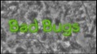 009 BAD BUGS [upl. by Weir]