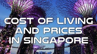 Cost of Living and Prices in Singapore [upl. by Adnolahs]