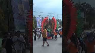 Costum Fashion Burung Merak  Pawai Festival Budaya Moraa shorts [upl. by Nobell]