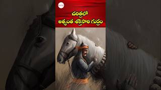 Very powerful HORSE Chetak The Legendary War Horse of Maharana Pratap – Unmatched Power and Loyalty [upl. by Eversole]