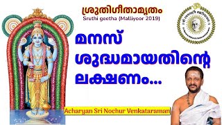 മനസ് ശുദ്ധമായതിൻ്റെ ലക്ഷണം Sri Nochur Swami Bhagavatha SathramSruti Gita Malliyoor 2019 [upl. by Ennayhc]