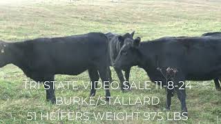 TRI STATE VIDEO SALE 11824 AT 1PM [upl. by Bertram724]