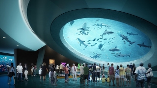 Take a video tour of the new Frost Museum of Science [upl. by Web37]