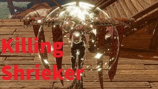 Killing a Shrieker  Divinity Original Sin 2 [upl. by Crescentia]