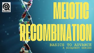 Meiotic Recombination  Homologous Recombination in Eukaryotes  Fundamental Processes  B2A [upl. by Daughtry]