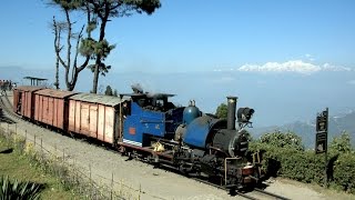 India 2016  Freight train on the Darjeeling Railway [upl. by Mailliw998]