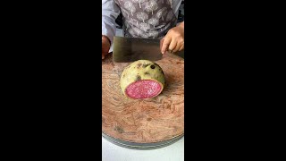 Master cutting vegetables [upl. by Hayn]