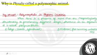 Why is Physalia called a polymorphic animal W [upl. by Aicssej531]