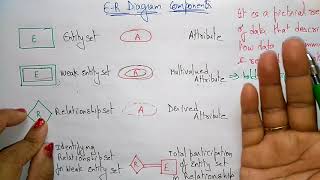 er model in dbms  components [upl. by Nocam]