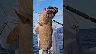 Jabbers Fishing Tackles jabbers [upl. by Ahtera]