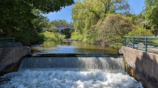 Petoskey MI Walking tour 4K [upl. by Nyleuqcaj]