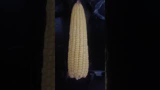 Ghar pr bhutta kaise bhunebhutta foodpushpa2therulesongs viral shorts ytshorts [upl. by Kelwin]