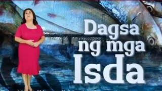 Kapuso Mo Jessica Soho Dagsa ng mga Isda [upl. by Padriac]