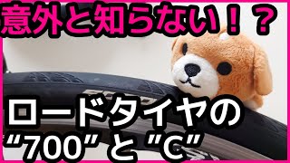 【保存版！】タイヤの700cって何なん？知ればロードバイクがもっと楽しくなる豆知識。reels viral UCIルール fuji grandprix 自転車 メンテナンス [upl. by Ertnom]