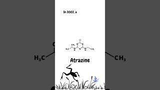 Atrazine and Frogs endocrine science fertilizers frogs [upl. by Normi252]