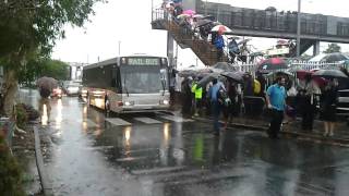 Brisbane floods  people stuck at strathpine station [upl. by Allimak]