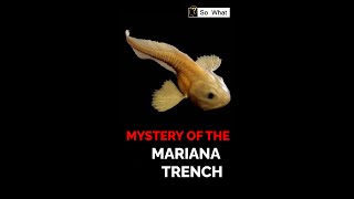 Mystery Of The Mariana Trench [upl. by Amos]