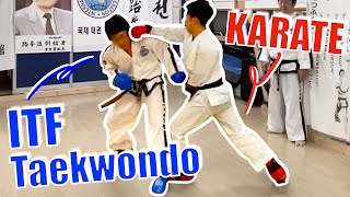 I Fought A Taekwondo Champion｜Karate vs Taekwondo Ep3 [upl. by Atinit]