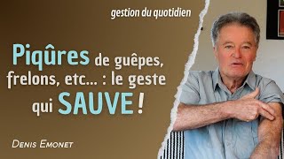 Piqûres dinsectes  le geste qui sauve [upl. by Scevo]