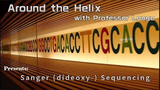 Genetics Problem Solving  Sanger Sequencing [upl. by Imugem]