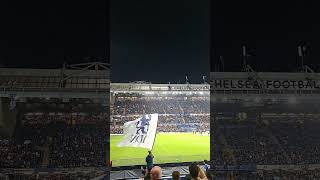 Chelsea FC fans singing quotLiquidatorquot at Stamford Bridge vs Gent UEFA Conference League [upl. by Aicinet770]