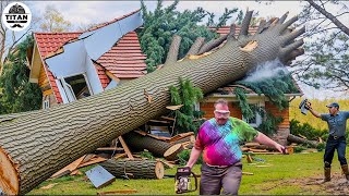 Dangerous Fastest Idiots Cutting Tree Fails Skill With Chainsaw  Tree Falling on Houses 3 [upl. by Lydnek]