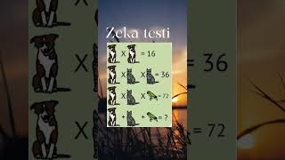 Zeka testi [upl. by Ailaroc]