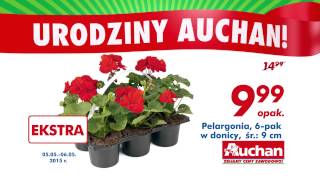 Auchan Urodziny  Pelargonia i Baleriny [upl. by Ahtnamas637]