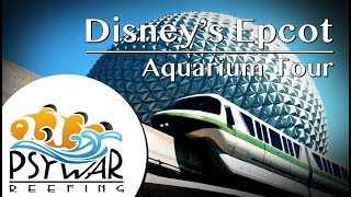 Behind the Scenes Aquarium Reef Tank Tour Disneys Epcot  The Seas With Nemo and Friends [upl. by Brott174]