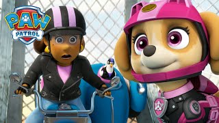 Moto Pups save Mayor Goodway from the Ruff Ruff Pack  PAW Patrol  Cartoons for Kids Compilation [upl. by Ennaitsirhc]