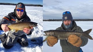 Moosehead Lake Maine Ice fishing [upl. by Michelsen474]