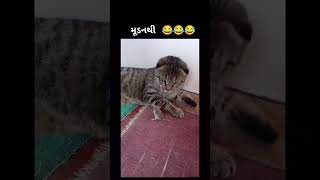 મૂડનથી 😛😂😂subscribe funny funnyimages fullcomedy funny funnygujju [upl. by Mcgean803]