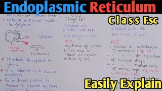 Endoplasmic Reticulum Structure And Functions  Class 11 Biology [upl. by Auhsuj]