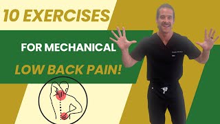 Top 10 Exercises for Lower Back Pain Relief [upl. by Kowal860]