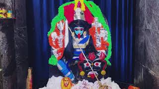 Kalika Devi temple  Daily Navratri pooja  2024 [upl. by Shifrah]