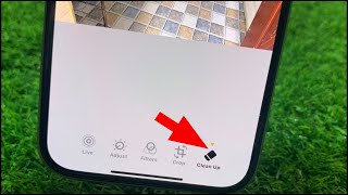 How to Use Photo Clean Up Feature in iPhone  How to Remove Objects in Photos iPhone [upl. by Putnam17]