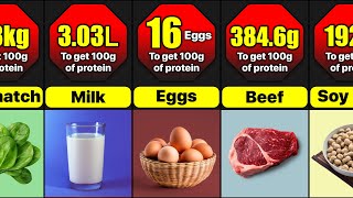 What Does 100g Of Protein Looks Like In Different Foods [upl. by Innej]