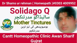 Solidago Q  Solidago Homeopathic Mother tincture in Urdu  Hindi [upl. by Marielle]