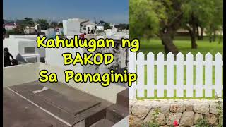 KAHULUGAN NG BAKOD SA PANAGINIP [upl. by Iadam]