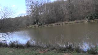 STREAM VALLEY LAKES CROWBOROUGH EAST SUSSEX [upl. by Idnahs]