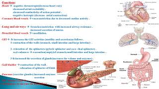 parasympathetic nervous system effects [upl. by Saravat]