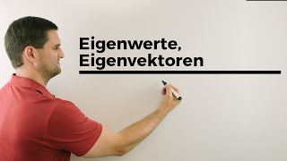 Eigenwerte Eigenvektoren Bildpunkt anschaulich Lineare Abbildungen Mathe by Daniel Jung [upl. by Kreit]