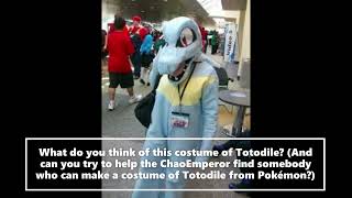 What Do You Think Of This Totodile Costume From Pokemon Gold and Silver [upl. by Neve]