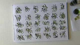 Abstract calligraphy  Ink drawing [upl. by Patnode]