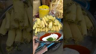 Nagpur’s famous nadda kabab shorts nadda kabab streetfood popular trending street vlog blog [upl. by Kciv]