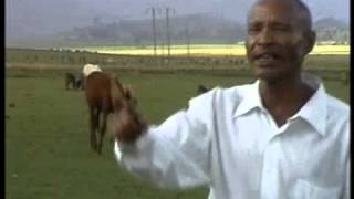 Fandishe Mullata Oromo Music  Sumaani Booya [upl. by Eceela505]