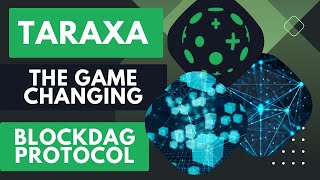 Taraxa The GameChanging BlockDAG Protocol [upl. by Elnora]