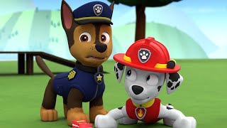 PAW Patrol Marshalls Juicebox Wipeout Fan Animation [upl. by Bergwall30]