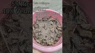 Soil mix for winter flowers gardening floweringplant youtubeshorts garden trending love peace [upl. by Lang]